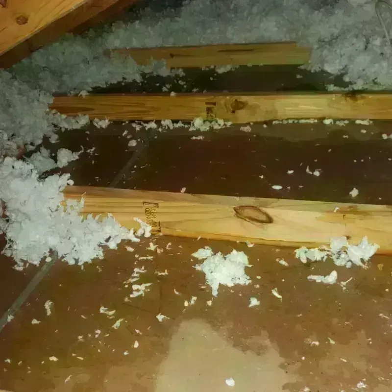 Attic Water Damage in Bibb County, AL